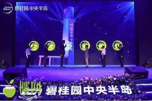 海南碧桂园爆料视频最新,揭秘神秘项目背后的故事