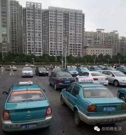 纳雍出租车爆料事件最新,真相与反思