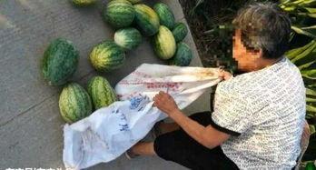 长垣吃瓜最新事件爆料,最新爆料揭秘背后真相