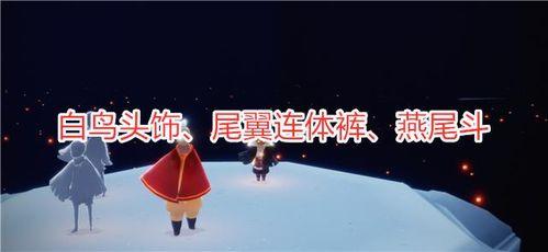 光遇最新全部爆料