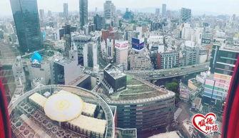 顺德街坊最新爆料