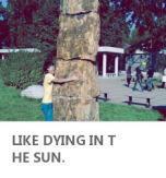 刘畅最新动态爆料,揭秘娱乐圈幕后真相